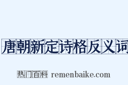 唐朝新定诗格反义词是什么意思的图片